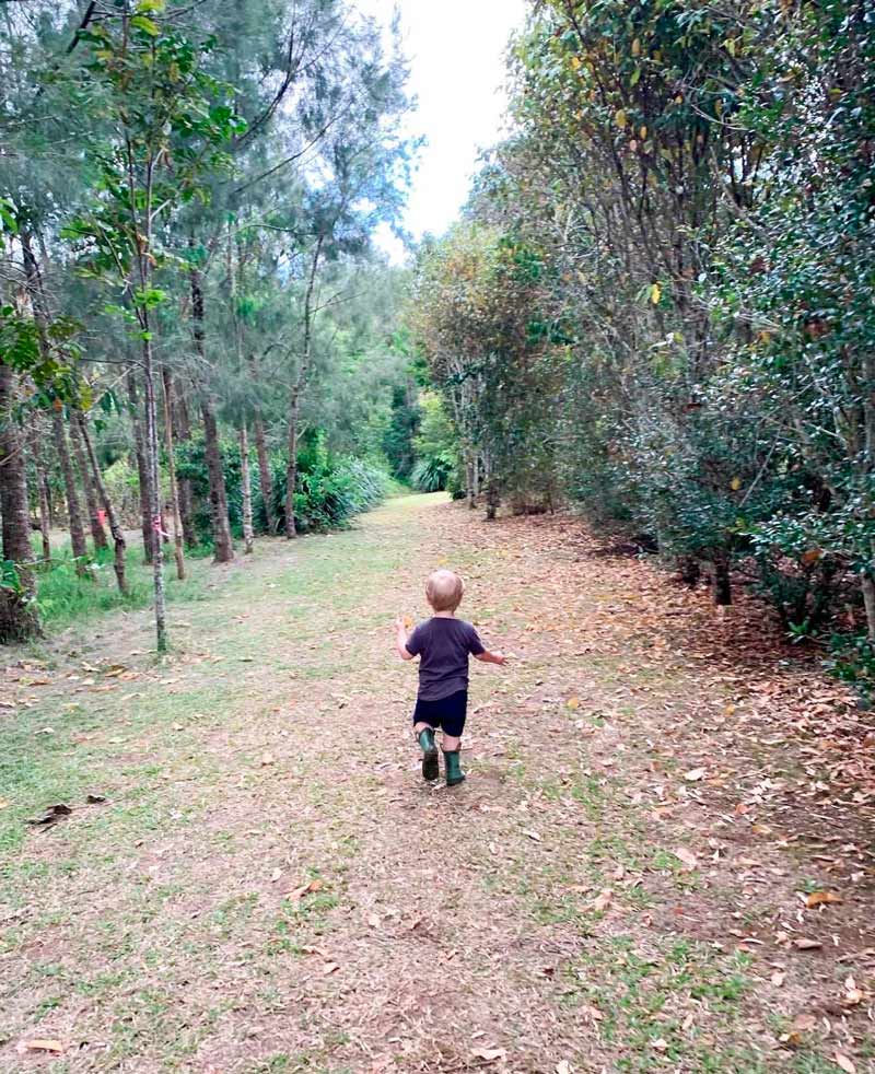 image of young child walking down a forest trail