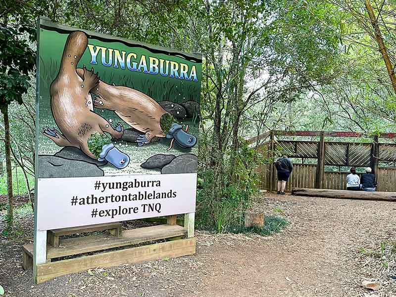 Yungaburra Park Motel Platypus viewing site